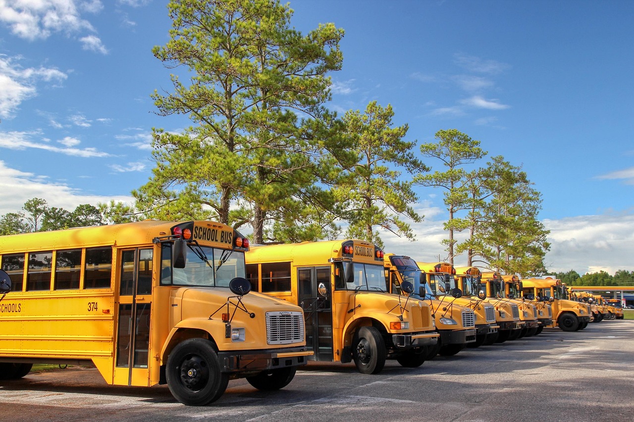school buses, vehicles, parking spot, yellow buses, buses, transport, usa, america, school buses, school buses, school buses, school buses, school buses, buses